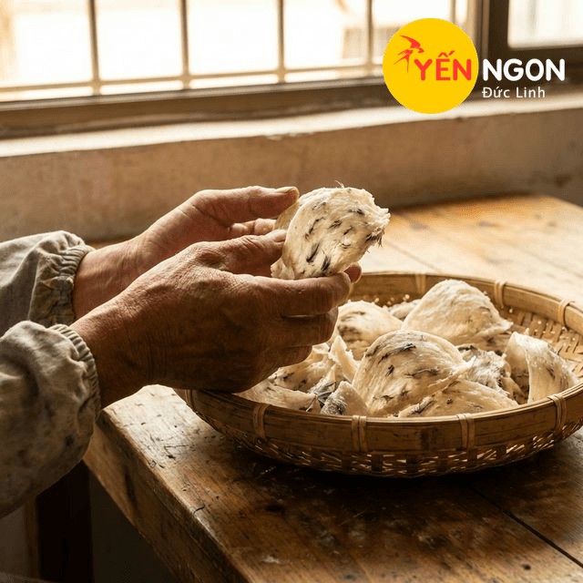 1. Tuyển chọn tổ yến thô