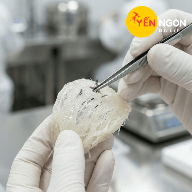 3. Nhặt lông tỉ mỉ thủ công