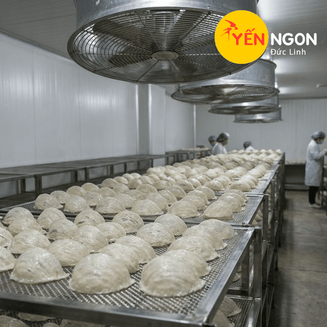 5. Sấy lạnh khử khuẩn